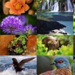 Valores de la mitología pipil: conexión con la naturaleza y respeto por la diversidad